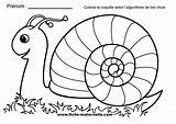 Maternelle Coloriage Imprimer Dessin Section Colorier Pour Moyenne Escargot Enfants Grande Et Les Gratuits sketch template