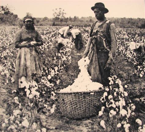 10 Interesting Slavery Facts My Interesting Facts