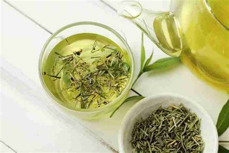 prevent gum disease naturally drink green tea regularly