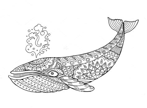 whale coloring pages  adults heartof cotton candy