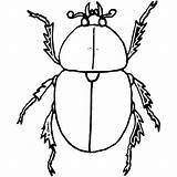 Beetle Coloring Dung Pages Colouring Sheet Color Designlooter Template 12kb 600px sketch template