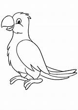 Coloring Pages Parrot Kids Printable sketch template