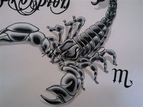 skorpion  malerei skorpion von artsofmr bei kunstnet
