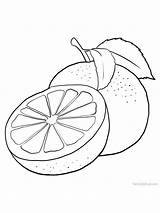 Grapefruit Published sketch template