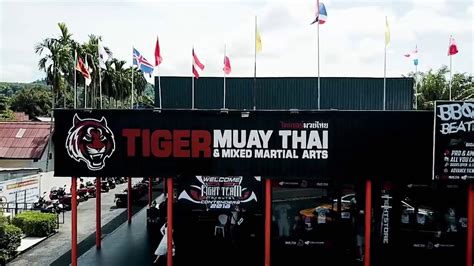 fight masters ️ tiger muay thai and mma youtube
