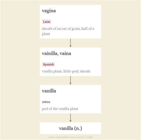 Vanilla Origin And Meaning Of Vanilla By Online Etymology Dictionary
