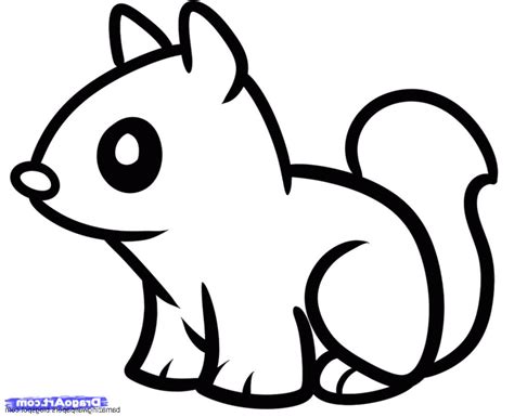 top easy   draw cute animals  popular temal