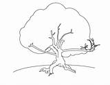 Roots Coloring4free Coloriage Dessin Manna Coloriages Adults Bestcoloringpagesforkids Getdrawings sketch template
