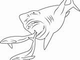 Megalodon Coloring Pages Shark Printable Print Sharks Book Scary Color Getdrawings Getcolorings Divyajanani sketch template