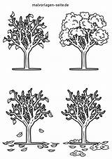 Jahreszeiten Baum Malvorlage Ausmalbild Tekening Seizoenen Kita Bäume Frühling Arbeitsblatt Coole Zahlen Nachmalen sketch template