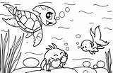 Neopets Coloring Pages Sheets Cool2bkids sketch template