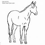 Horse Coloring Quarter Pages Mare Color American Printable Own Getcolorings Drawings Getdrawings sketch template