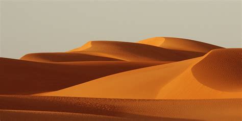lives   sahara desert  fact site