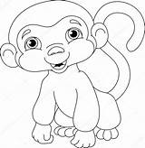 Kleurplaat Aap Macaco Colorear Scimmia Pagina Mico sketch template