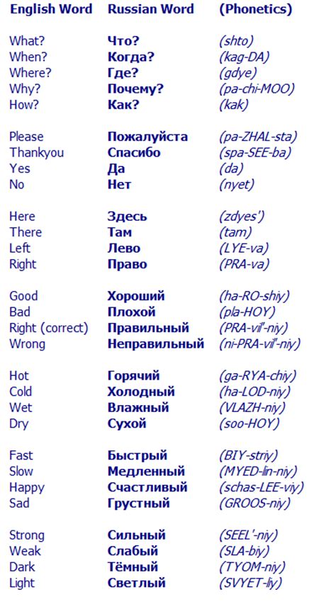 learn some of the common russian words could be handy beautiful things pinterest