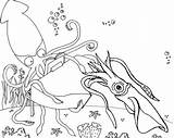 Coloring Squid Underwater Pages Undersea Realistic Themed Cartoon sketch template