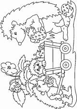 Egels Hedgehogs Colorat Igel Egel Ricci Kleurplaten Animale Herisson Arici Riccio P01 Igeln Ausmalen Hedgehog Fraise Planse Ausmalvorlagen Primiiani Ausmalbild sketch template