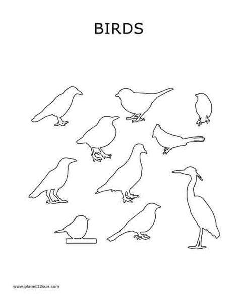 birds coloring page preschool geniuscom printables
