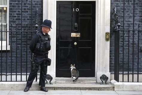 downing street latest location  google  degree virtual