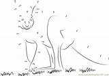 Kangaroo Dots Angel Kids sketch template