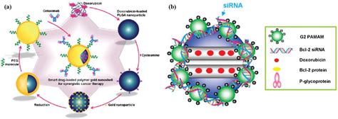 Nanotechnology Cancer Treatment
