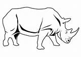 Rinoceronte Nashorn Neushoorn Rhino Nosorog Pobarvanka Malvorlage Rhinoceros Pobarvanke Tekening Ausmalen Dieren Tekenen Kleurplaten Schulbilder Ausmalbild Große Afkomstig sketch template