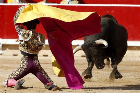 spanish bullfighter manuel escribano fights with his first bull during