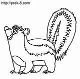 Skunk Coloring Pages Cartoon Printable Comments Library Clipart Books Coloringhome Cute sketch template