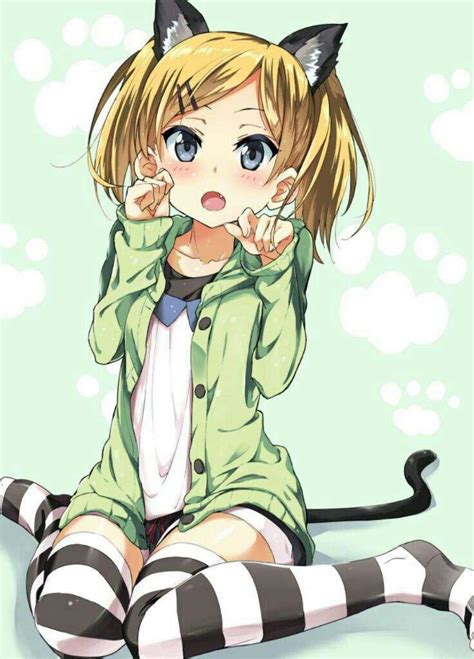 Anime Girl Cat Blonde Hair Seiko Shinohara Anime Amino