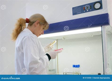 lab work stock photo image  microbiologist diagnosis