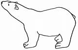 Polar Bear Outline Drawing Template Bears Clipart Silhouette Head Clip Print Coloring Cartoon Pages Stencil Easy Preschool Winter Printable Cub sketch template