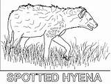 Coloring Hyena Pages Printable Scary Animal sketch template