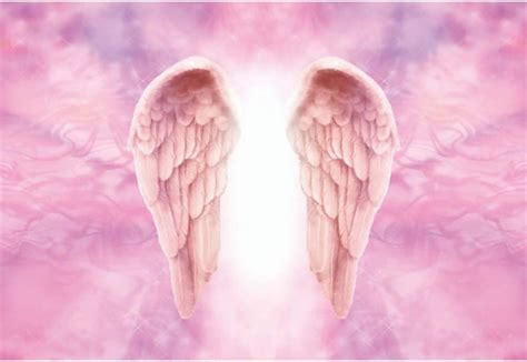 dorcev 8x5ft pink angel wings photography backdrop uk