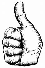 Thumbs Clipart Drawing Hand Ok Library Vector sketch template