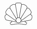 Scallop Linear Drawing sketch template