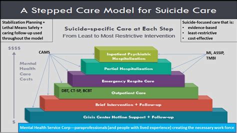 A Stepped Care Approach To Clinical Suicide Prevention Cams Care