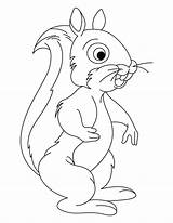 Coloring Squirrel Preschool Pages Tailed Bushy Squirrels Color Getdrawings Popular Library Clipart sketch template