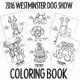 Dog Westminster Show Coloring German Pointer Shorthaired Kennel Club sketch template