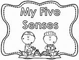 Senses Sinne Toddler Designlooter Wecoloringpage Webstockreview sketch template