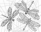 Coloring Dragonfly Pages Adult Geometric Description Coloringgarden sketch template