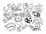 Coccinelle Maternelle Insectos Printemps Insectes Insecte Colorier Petites Betes Carnivore Incroyable Ohbq Jolie Modèles Insects Azcoloriage Papillon Recherche Bricolage sketch template