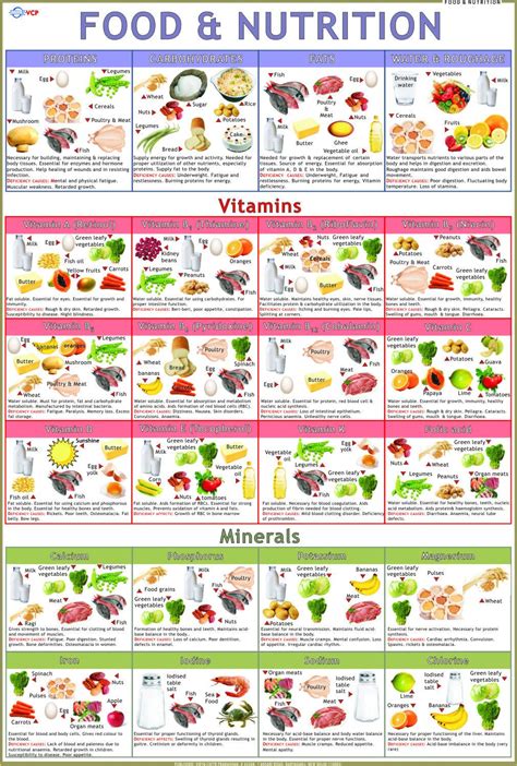 food charts vidya chitr prakashan