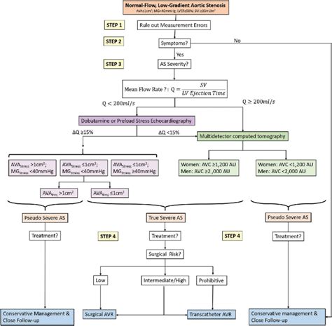 Algorithm For The Diagnostic Workup And Management Of