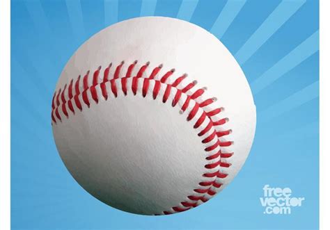 blank baseball   vector art stock graphics images