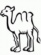 Camel 1693 Animals Coloring Kb sketch template