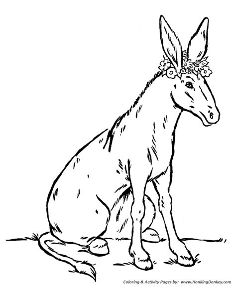 farm animal coloring pages donkey  flowers coloring page  kids