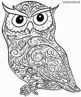 Ausmalbilder Eulen Eule Ausmalen Dekoking Mandala Ausdrucken Ausmalbild Erwachsene Zeichnen Vorlage Uhu Malvorlagen Kostenlos Drucken Magische Zahlen Magischen Owls Pferde sketch template
