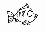 Pez Vis Kleurplaat Fisch Peces Malvorlage Pesce Fishes Kleurplaten Stampare Schulbilder Educima Educolor sketch template