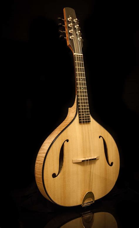 celtic  mandolin  nk forster httpwwwnkforsterguitarscom