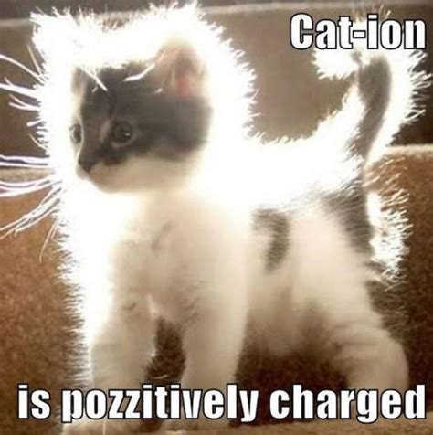 Nerdy Science Memes That Are Actually Kind Of Funny 40